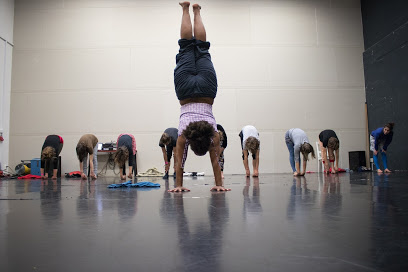The Handstand Experience
