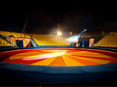 The situation of circus in the EU Member States