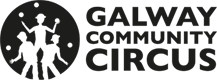 Galway Community Circus – Community Impact Study Results Aand Analysis